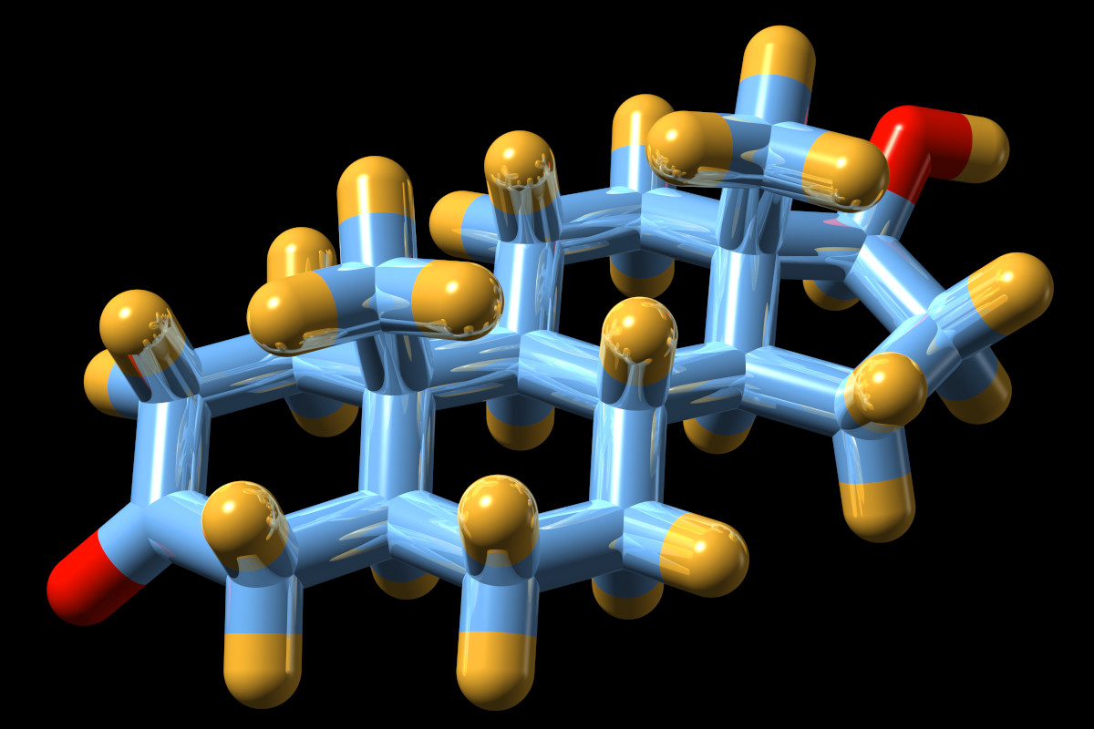 Molecular model of the structure of the male sex hormone DHT (dihydrotestosterone, or 5-alpha-dihydrotestosterone