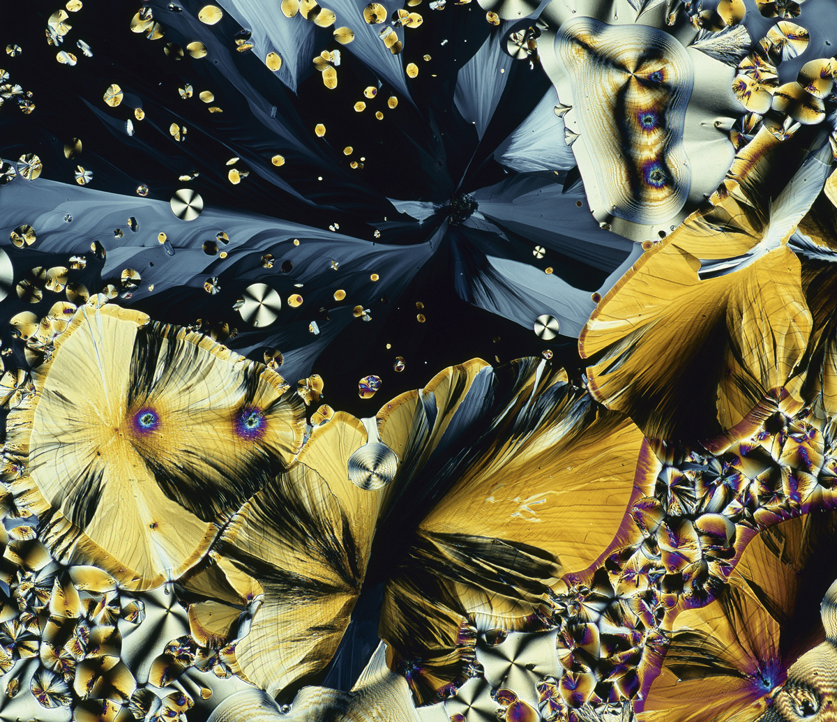 Hormone melatonin, as seen from under microscope