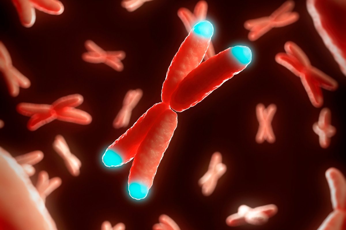Illustration of telomeres