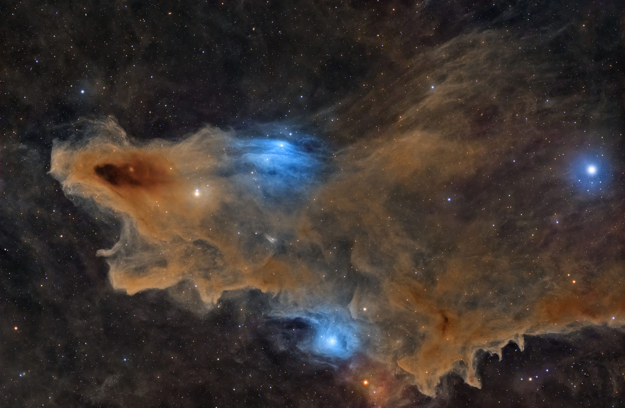 A range of stars smatter across the night sky in the shape of a shark