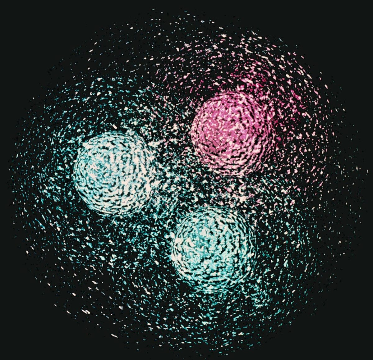 Image of a quark structure