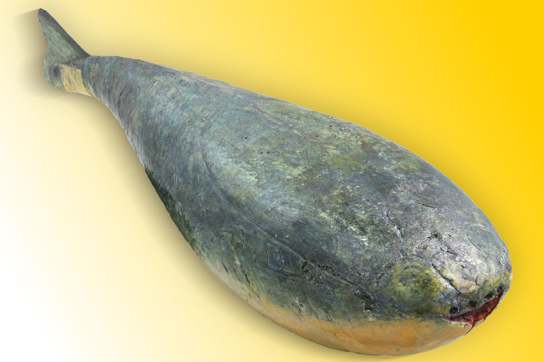Image of the Sacabambaspis model at the Finnish Museum of Natural History in Helsinki