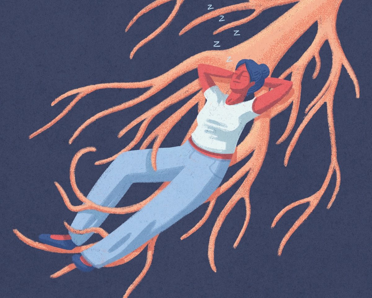 Vagus Nerve Health Illustration