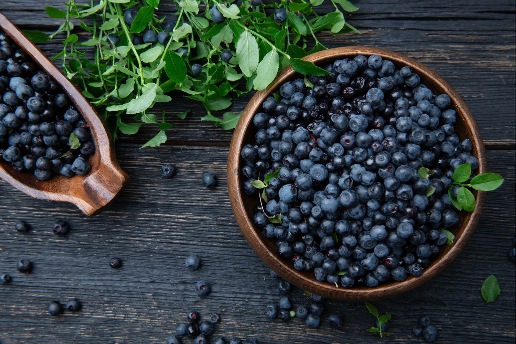 Blueberries