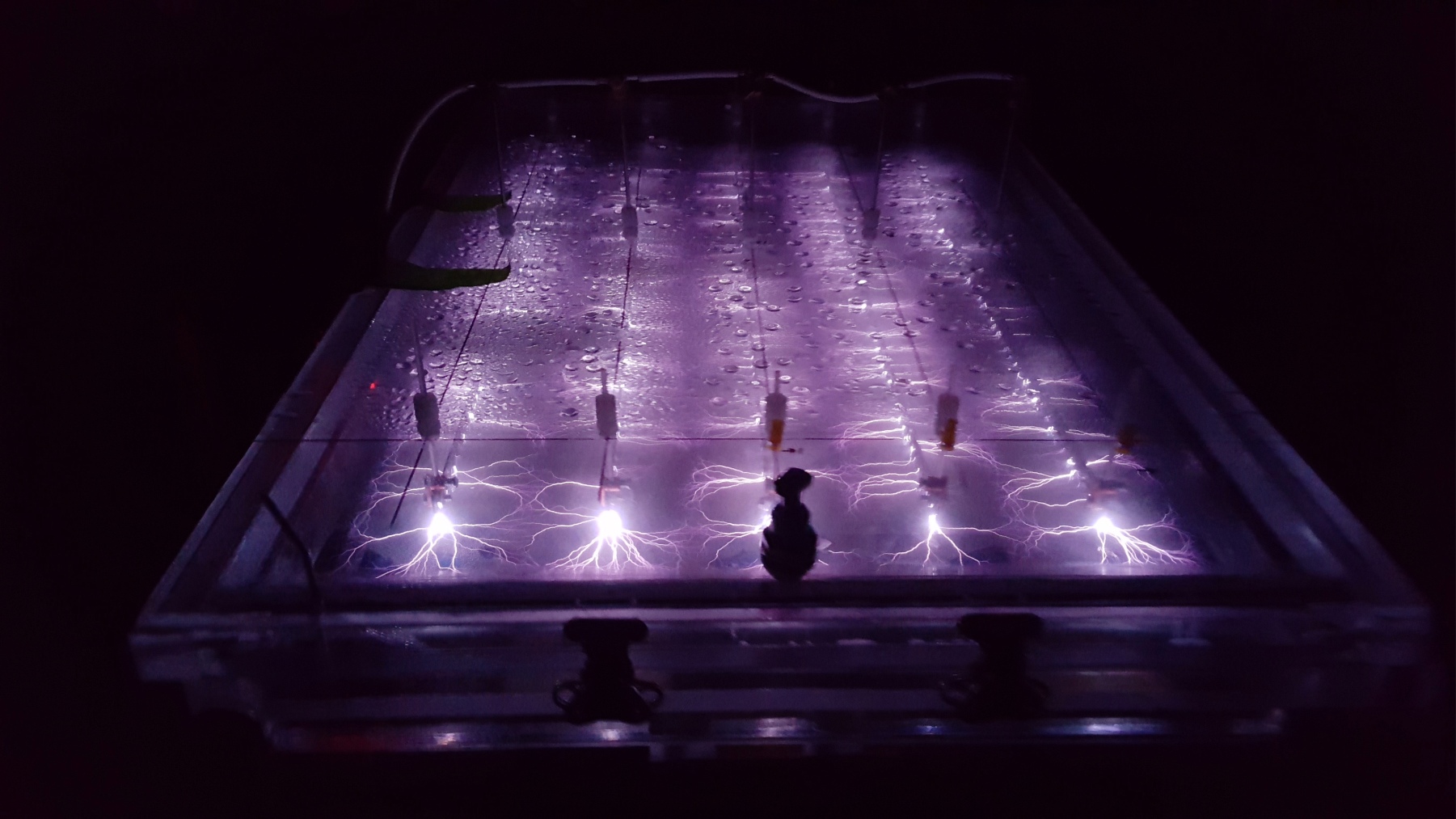 Purple light arcing across water